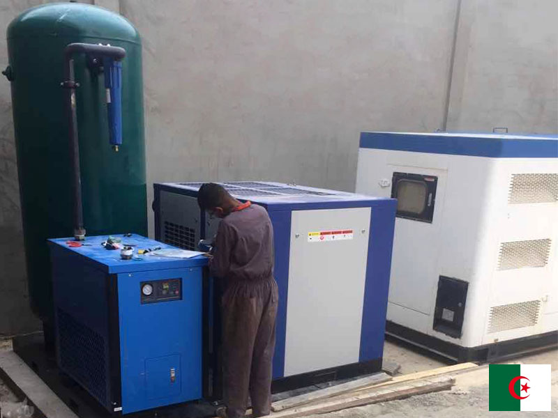 DENAIR Energy Saving Air Compressor in Algeria